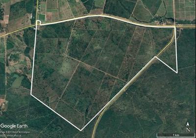729Ha Cattle farm (Levubu, Limpopo, RSA) For Sale in Louis Trichardt, Louis Trichardt